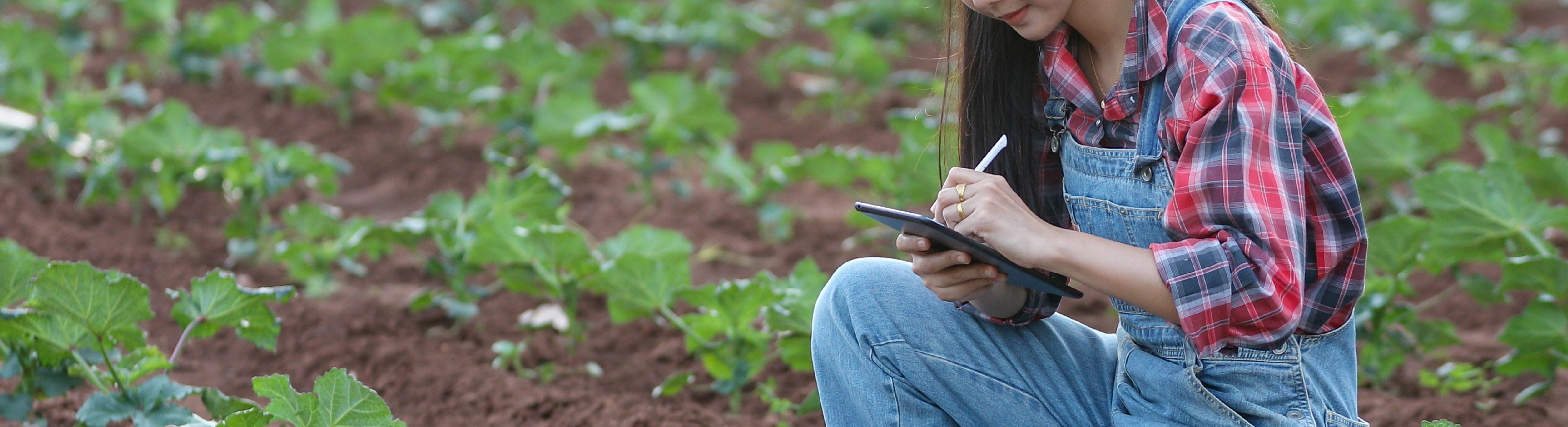 ไฮไลท์ส่วนกลาง-1