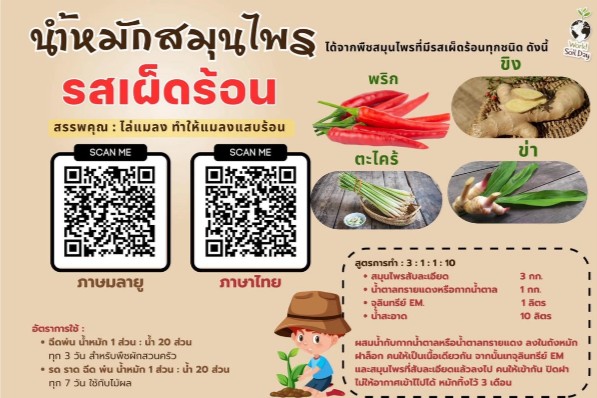 น้ำหมักสมุนไพร "รสเผ็ดร้อน"